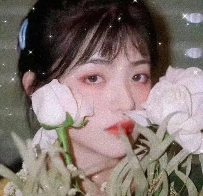 李小龙：复制新宇宙